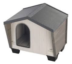 kennel belgie