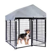 kennel in belgie