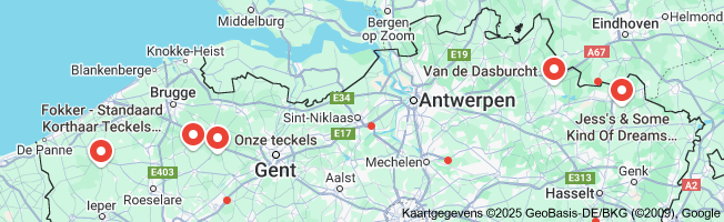 dwerg teckel fokker belgie