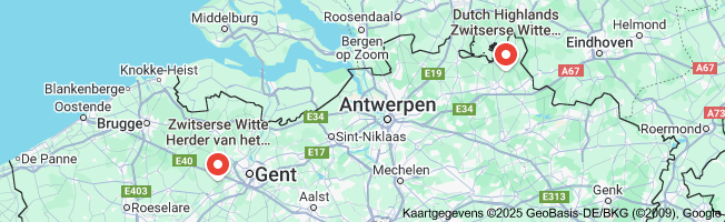 witte herder fokker belgie