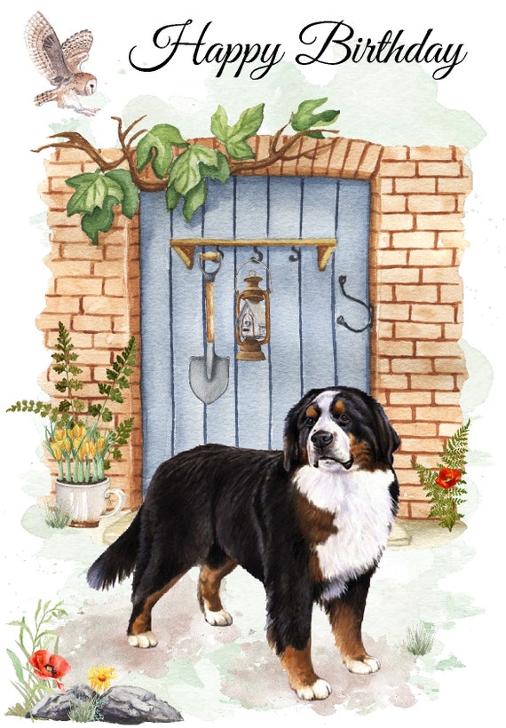 gefeliciteerd berner sennen