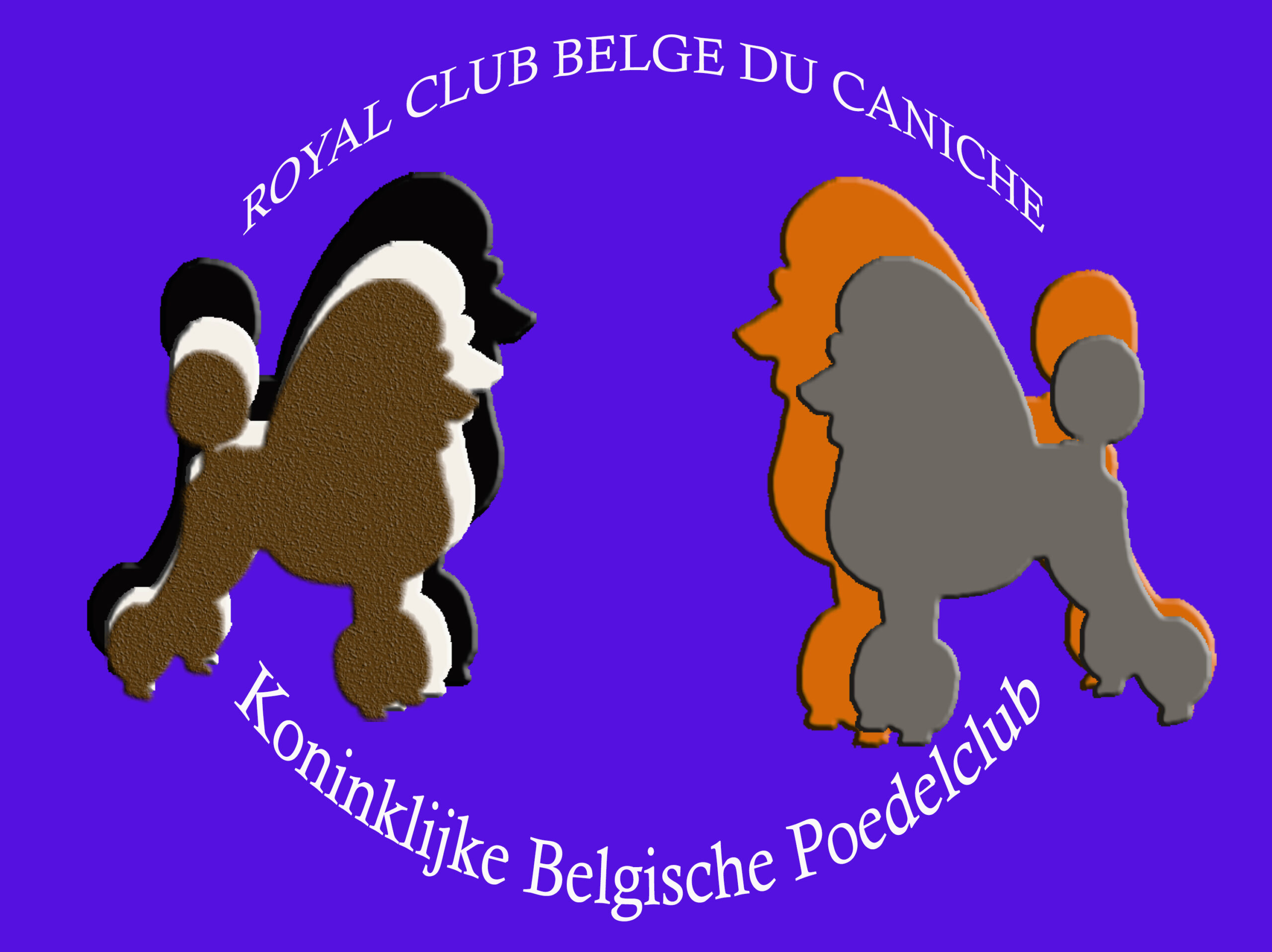 belgische kennel club