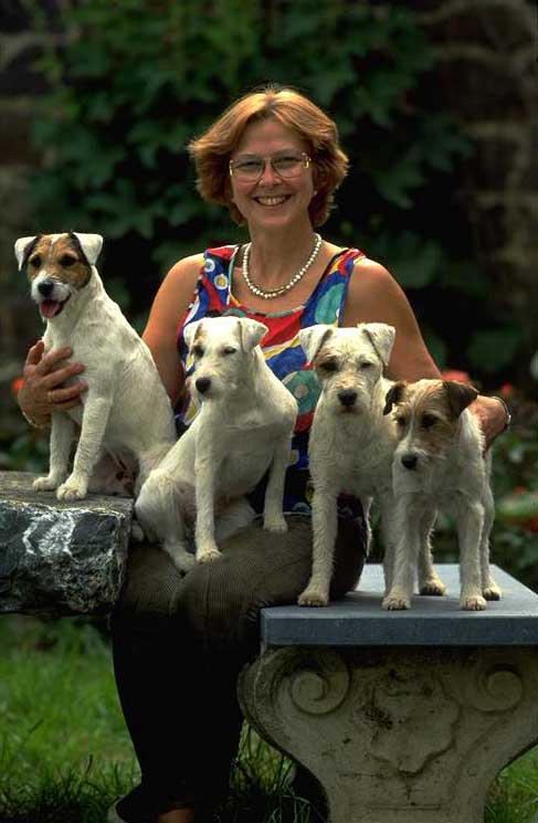 erkende jack russel fokkers belgie
