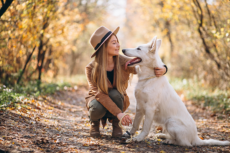 herplaatsing en adoptie
