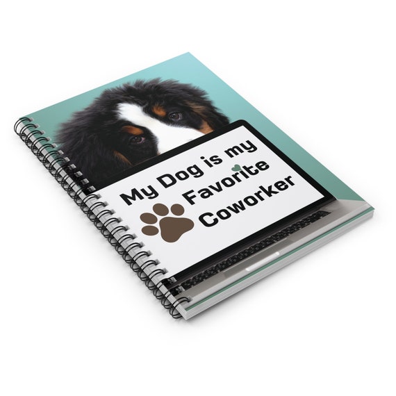 boek over de berner sennen