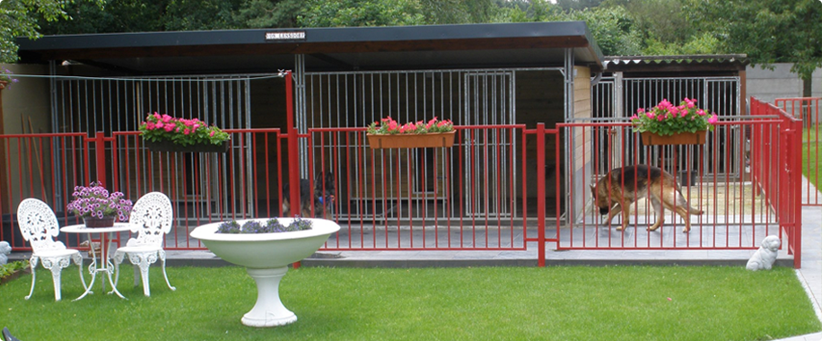 kennel in belgië