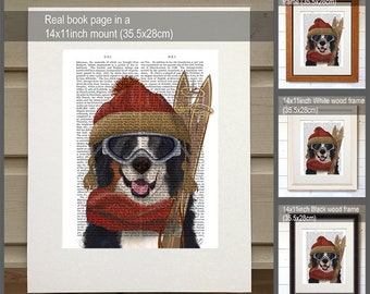 sennenhondberner sennenhondberner sennenhond boek